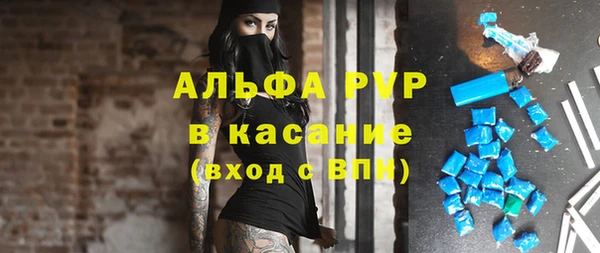 гидра Абаза