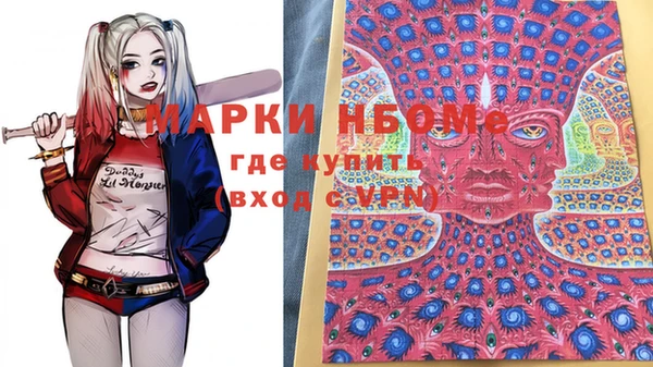 хмурый Алзамай