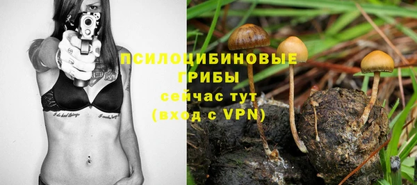 гидра Абаза