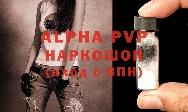 гидра Абаза