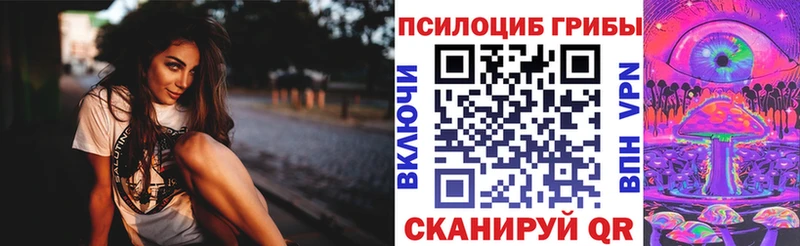 Псилоцибиновые грибы Psilocybine cubensis  blacksprut как войти  Староминская 