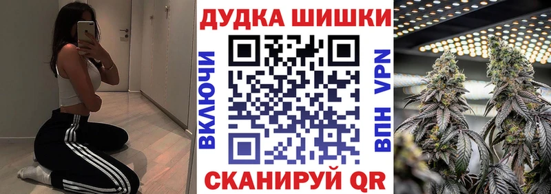 kraken зеркало  Староминская  Каннабис индика  где продают  